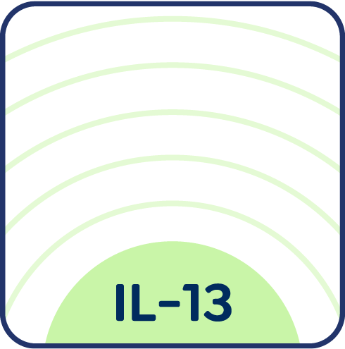 Icon of IL-13