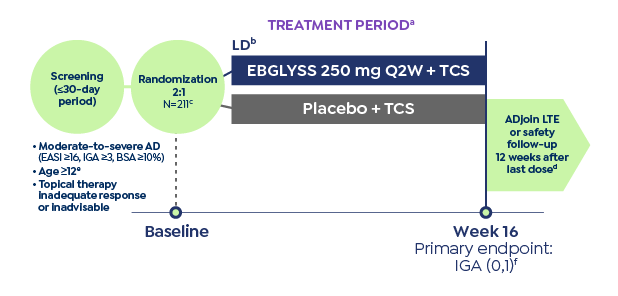 Graphic showing the study design for the ADhere trial