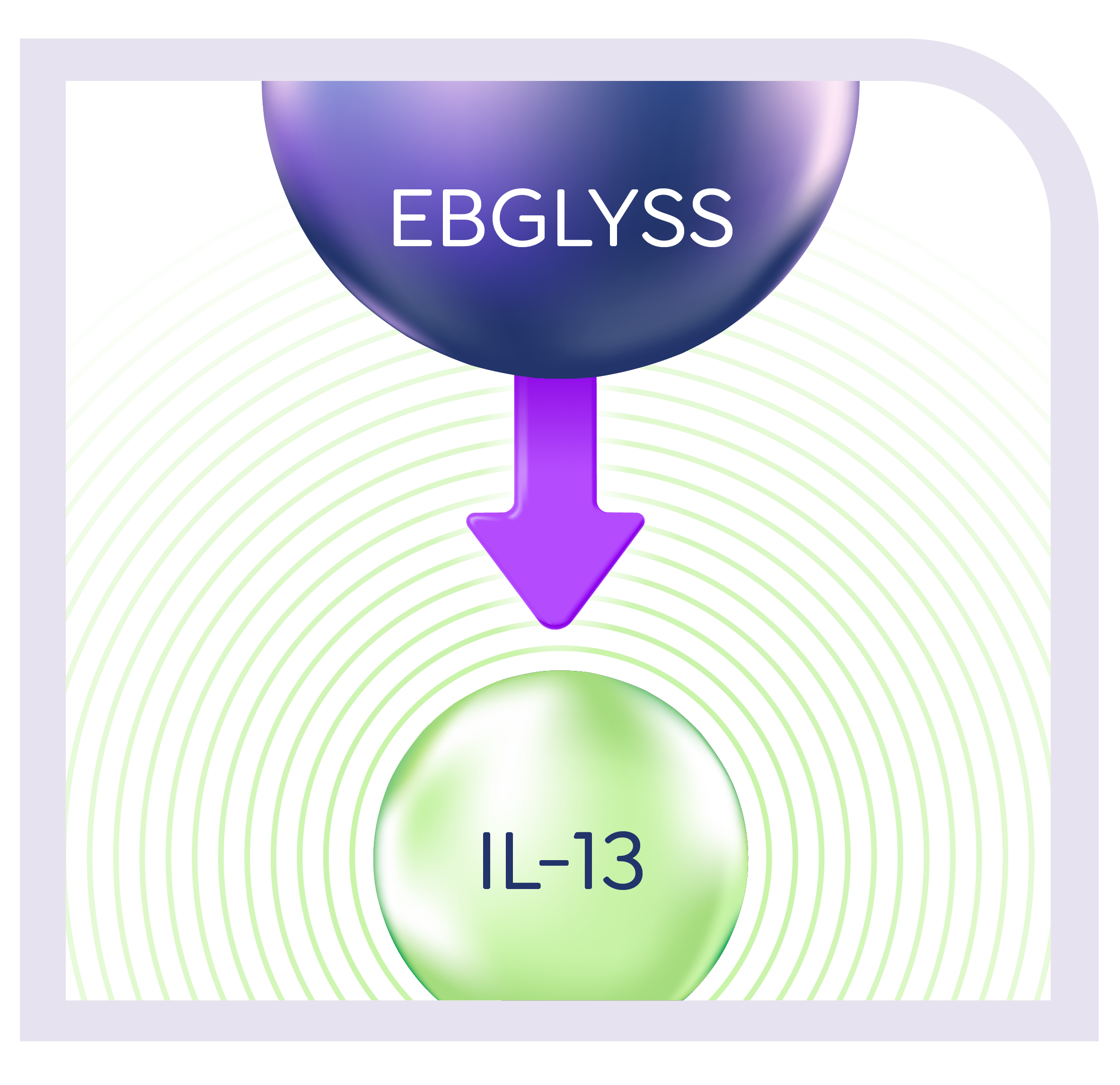 Icon of IL-13